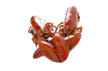 Similar image 21337750