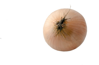 Similar image 21339126