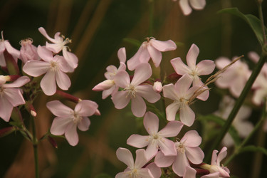 Similar image 21324595