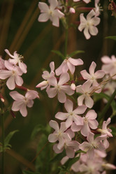 Similar image 21320267