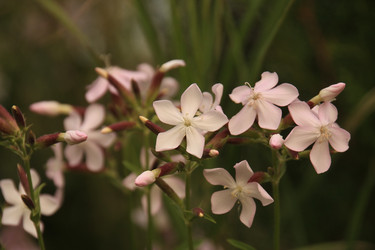 Similar image 21320268