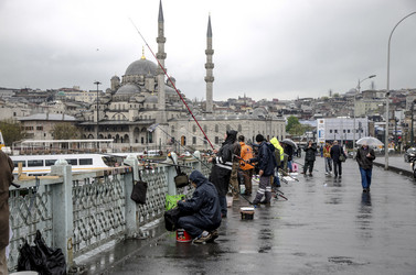 Similar image 21339133