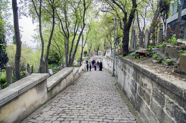 Similar image 21339135