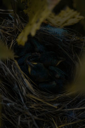 Similar image 21321302