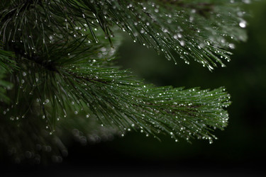 Similar image 21321303