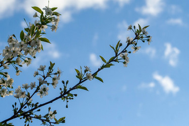 Similar image 21321304