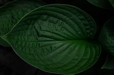 Similar image 21321305