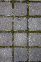 Similar image 21321306