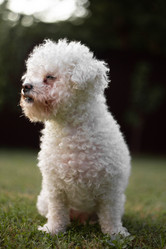 Similar image 21321309