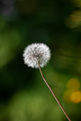 Similar image 21321311