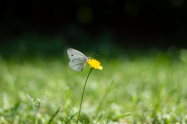 Similar image 21321312