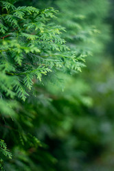 Similar image 21321269