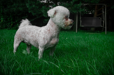 Similar image 21321271