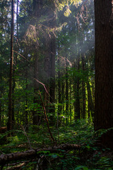 Similar image 21321275