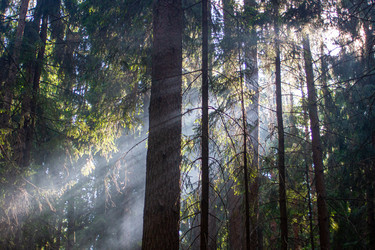 Similar image 21321276