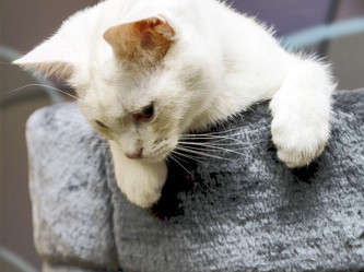 Similar image 21333502