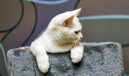 Similar image 21333503