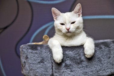 Similar image 21333504