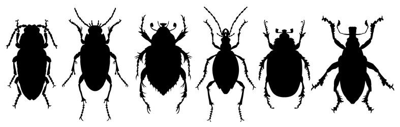 Similar image 21320491