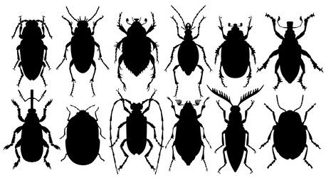 Similar image 21324935