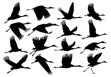 Similar image 21324936