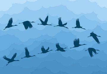 Similar image 21324937