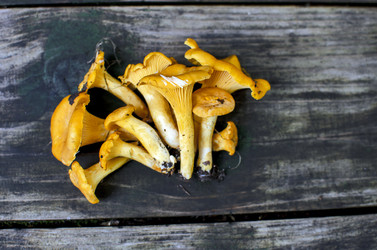 Similar image 21333511