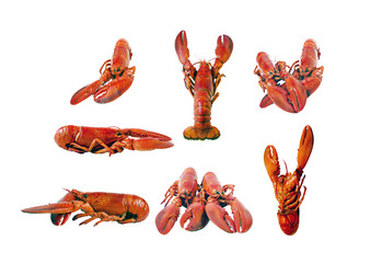 Similar image 21333512