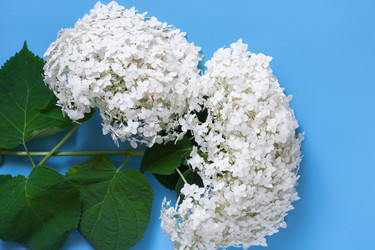 Similar image 21325639