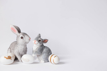 Similar image 21329730