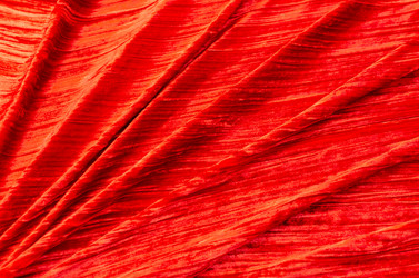 Similar image 21336678