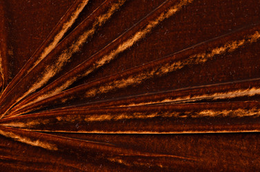 Similar image 21337757