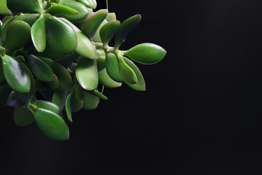 Similar image 21325642