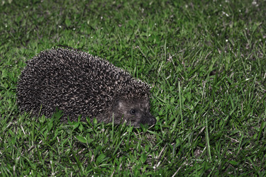 Similar image 21325654