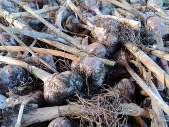 Similar image 21325663