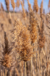 Similar image 21320829