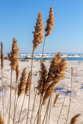 Similar image 21320832