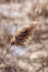 Similar image 21320833