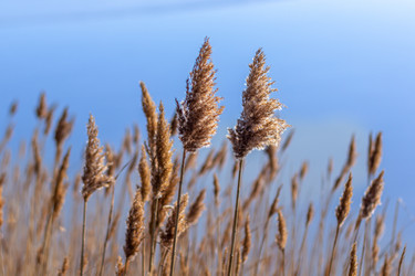 Similar image 21320845