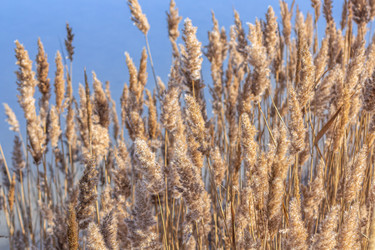 Similar image 21320846