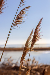 Similar image 21320847