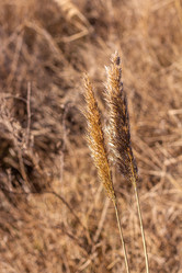 Similar image 21320848