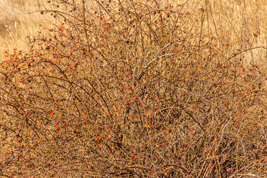 Similar image 21320849