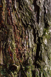 Similar image 21320855