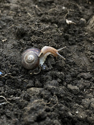 Similar image 21320376