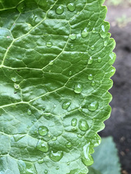 Similar image 21320378