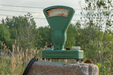 Similar image 21320874