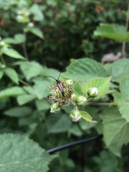 Similar image 21320379