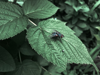 Similar image 21320380