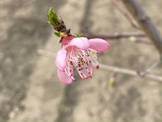 Similar image 21320381